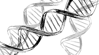 drawing of dna