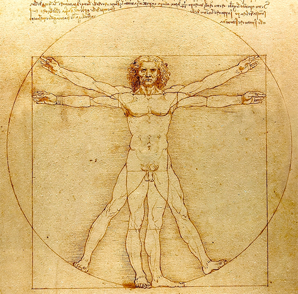Da Vinci drawing