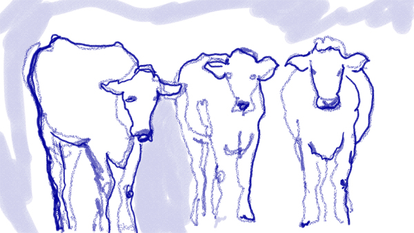 three cows drawing by Skog